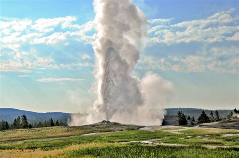 Old faithful .